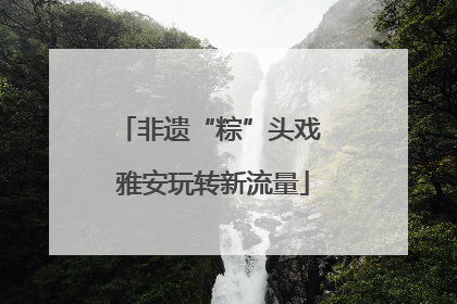 非遗“粽”头戏 雅安玩转新流量
