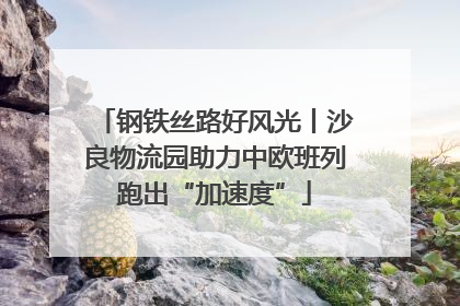 钢铁丝路好风光丨沙良物流园助力中欧班列跑出“加速度”