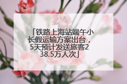 铁路上海站端午小长假运输方案出台，5天预计发送旅客238.5万人次