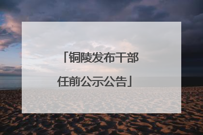 铜陵发布干部任前公示公告