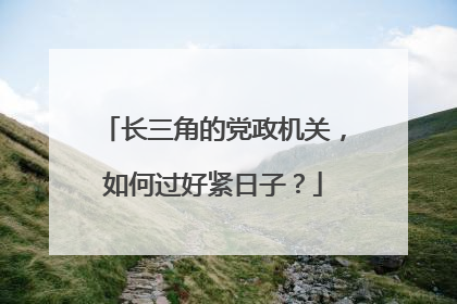 长三角的党政机关，如何过好紧日子？