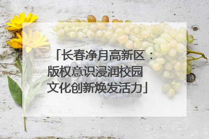 长春净月高新区：版权意识浸润校园 文化创新焕发活力