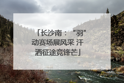 长沙南：“羽”动赛场展风采 汗洒征途竞锋芒