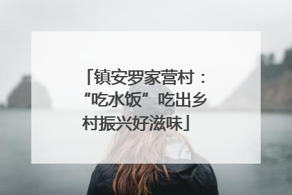 镇安罗家营村：“吃水饭”吃出乡村振兴好滋味