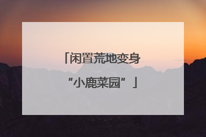 闲置荒地变身“小鹿菜园”