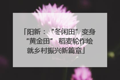 阳新：“冬闲田”变身“黄金田” 稻麦轮作绘就乡村振兴新篇章