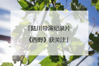 陆川导演纪录片《西野》获关注