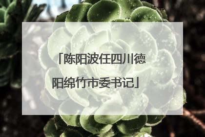 陈阳波任四川德阳绵竹市委书记