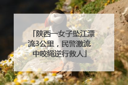 陕西一女子坠江漂流3公里，民警激流中咬绳逆行救人