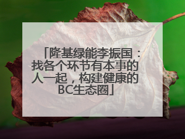 隆基绿能李振国：找各个环节有本事的人一起，构建健康的BC生态圈