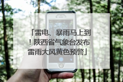 雷电、暴雨马上到！陕西省气象台发布雷雨大风黄色预警