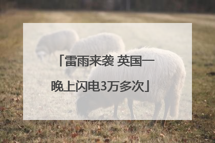 雷雨来袭 英国一晚上闪电3万多次
