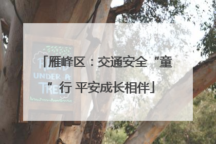雁峰区：交通安全“童”行 平安成长相伴