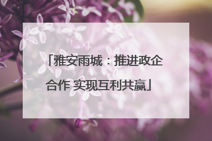 雅安雨城：推进政企合作 实现互利共赢