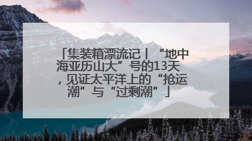 集装箱漂流记丨“地中海亚历山大”号的13天，见证太平洋上的“抢运潮”与“过剩潮”