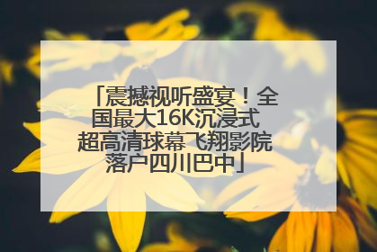 震撼视听盛宴！全国最大16K沉浸式超高清球幕飞翔影院落户四川巴中