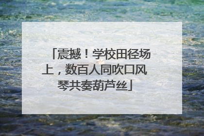 震撼！学校田径场上，数百人同吹口风琴共奏葫芦丝