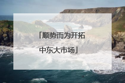 顺势而为开拓中东大市场