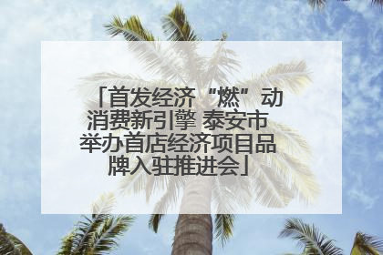 首发经济“燃”动消费新引擎 泰安市举办首店经济项目品牌入驻推进会
