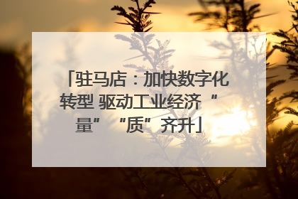 驻马店：加快数字化转型 驱动工业经济“量”“质”齐升