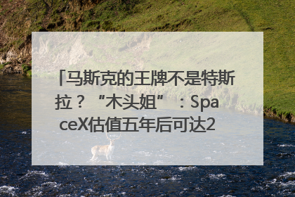 马斯克的王牌不是特斯拉？“木头姐”：SpaceX估值五年后可达2.5万亿美元！
