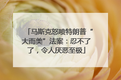马斯克怒喷特朗普“大而美”法案：忍不了了，令人厌恶至极