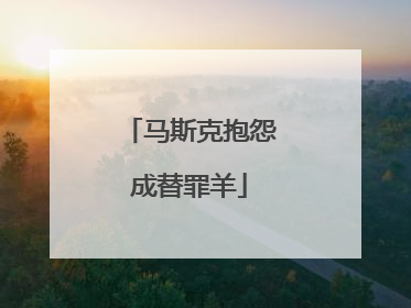 马斯克抱怨成替罪羊