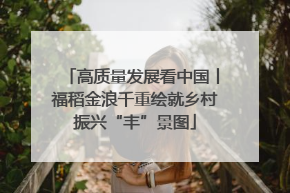 高质量发展看中国丨福稻金浪千重绘就乡村振兴“丰”景图