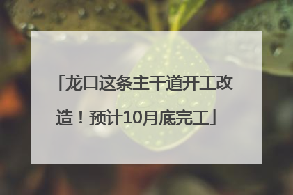 龙口这条主干道开工改造！预计10月底完工