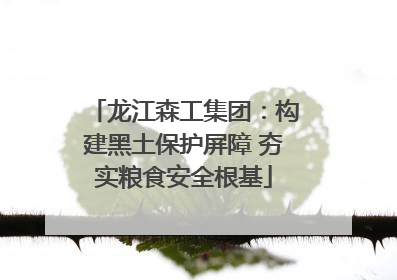龙江森工集团：构建黑土保护屏障 夯实粮食安全根基