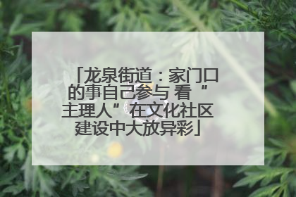龙泉街道：家门口的事自己参与 看“主理人”在文化社区建设中大放异彩