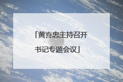 黄喜忠主持召开书记专题会议