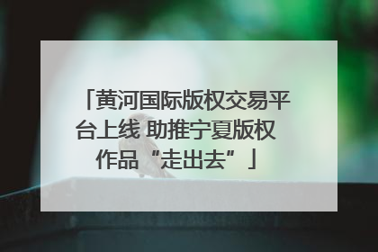 黄河国际版权交易平台上线 助推宁夏版权作品“走出去”