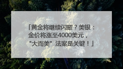 黄金将继续闪耀？美银：金价将涨至4000美元，“大而美”法案是关键！