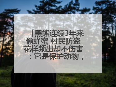 黑熊连续3年来偷蜂蜜 村民防盗花样频出却不伤害：它是保护动物，我有保险兜底