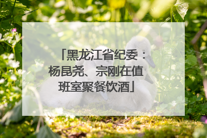 黑龙江省纪委：杨昆尧、宗刚在值班室聚餐饮酒