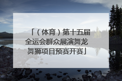 （体育）第十五届全运会群众展演舞龙舞狮项目预赛开赛