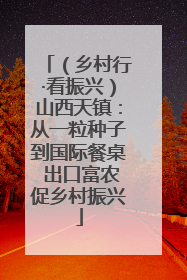 （乡村行·看振兴）山西天镇：从一粒种子到国际餐桌 出口富农促乡村振兴