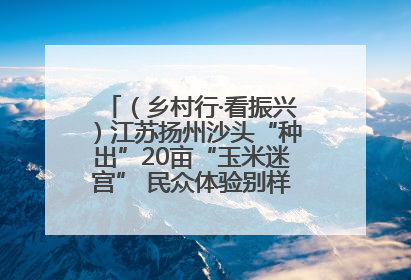 （乡村行·看振兴）江苏扬州沙头“种出”20亩“玉米迷宫” 民众体验别样“田园乐趣”