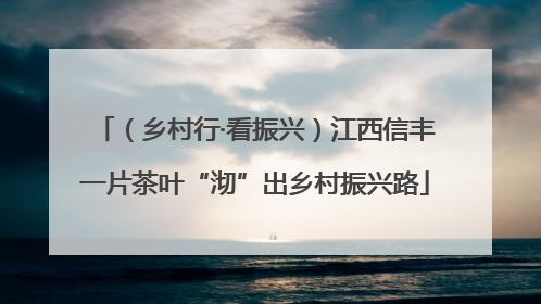 （乡村行·看振兴）江西信丰一片茶叶“沏”出乡村振兴路