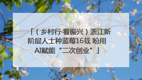 （乡村行·看振兴）浙江新阶层人士种蓝莓16载 盼用AI赋能“二次创业”