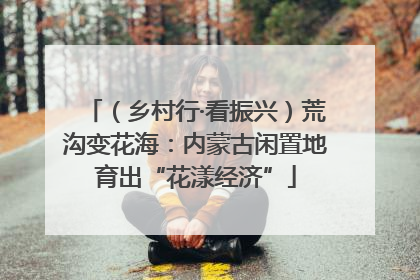 （乡村行·看振兴）荒沟变花海：内蒙古闲置地育出“花漾经济”