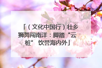 （文化中国行）壮乡狮舞闯南洋：脚踏“云桩” 饮誉海内外