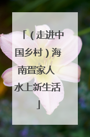 （走进中国乡村）海南疍家人 水上新生活