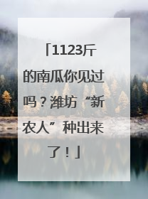 1123斤的南瓜你见过吗？潍坊“新农人”种出来了！