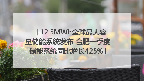12.5MWh全球最大容量储能系统发布 合肥一季度储能系统同比增长425%