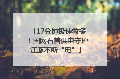 17分钟极速救援！国网石首供电守护江豚不断“电”
