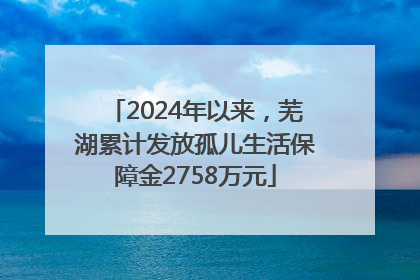 2024年以来，芜湖累计发放孤儿生活保障金2758万元