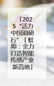 2025“活力中国调研行”丨蚌埠：全力打造智能传感产业新高地