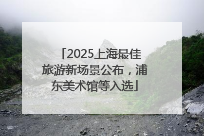 2025上海最佳旅游新场景公布，浦东美术馆等入选